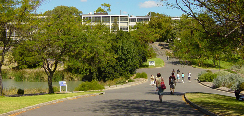 Flinders University